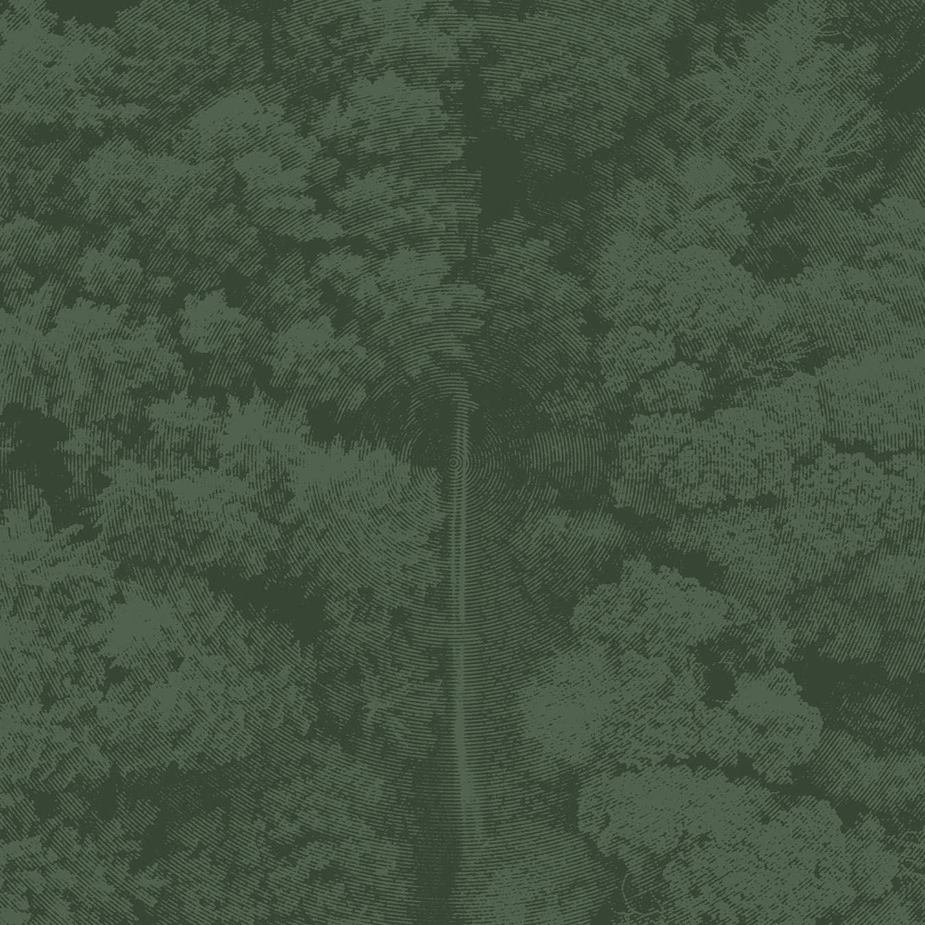 Tree textures